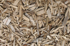 biomass boilers Goldfinch Bottom